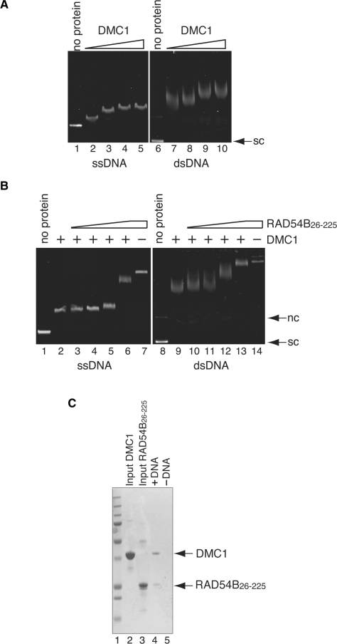 Figure 4.