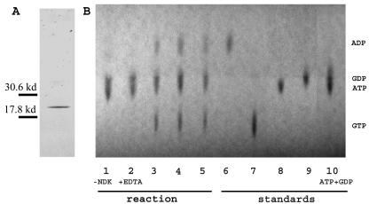 FIG. 6.