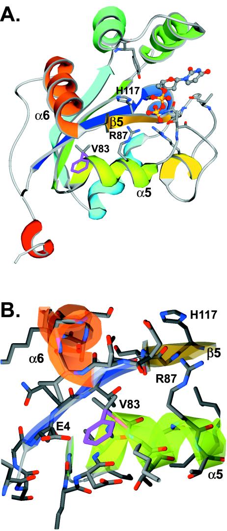 FIG. 7.