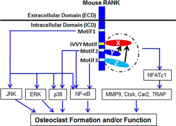 FIGURE 9.