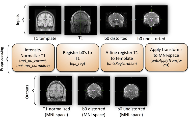 Fig 3