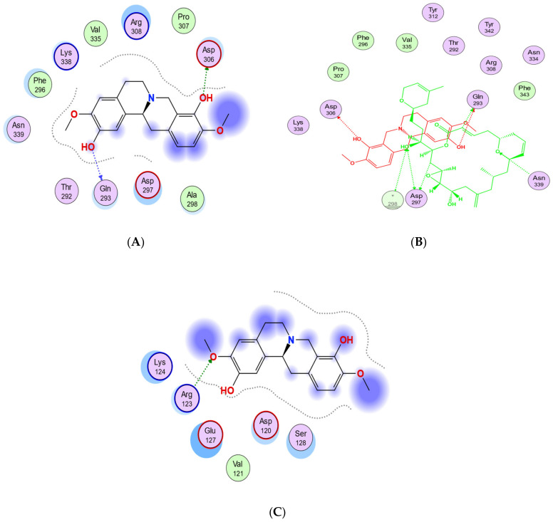 Figure 11