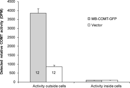 FIGURE 4.