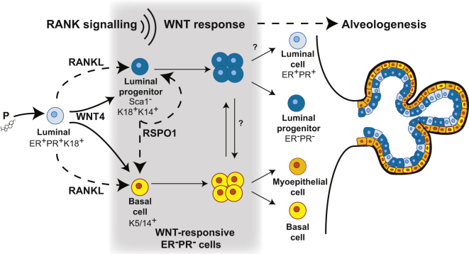 Figure 6