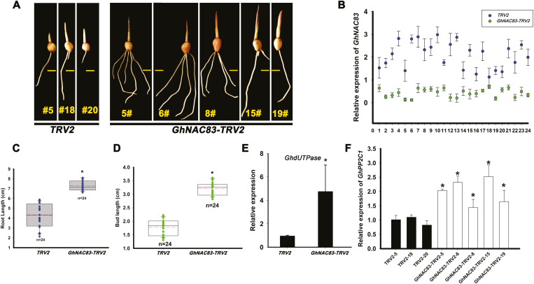 Fig. 7.