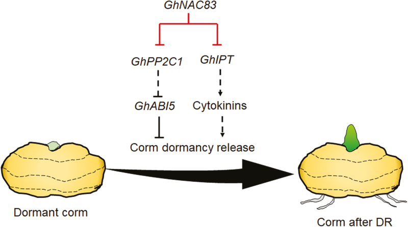 Fig. 10.