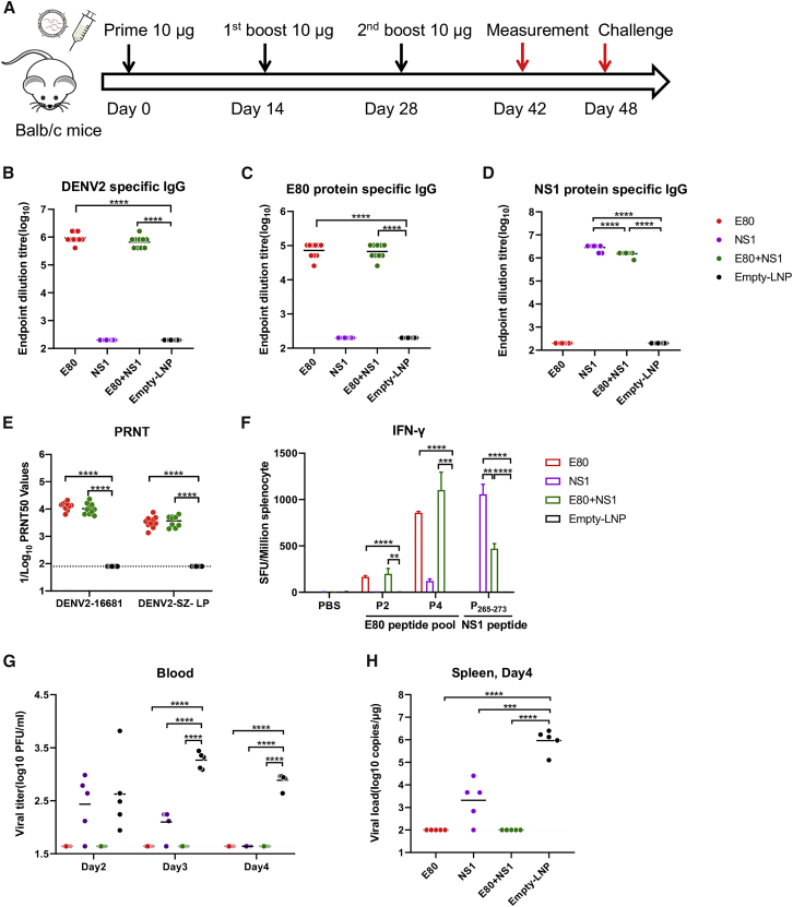 Figure 4