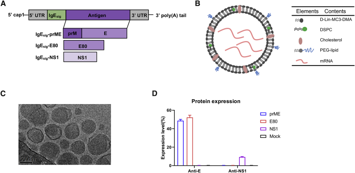 Figure 1