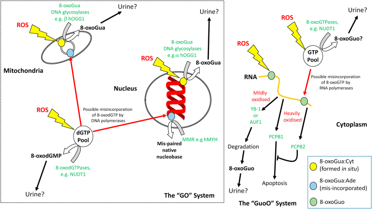 Fig. 2