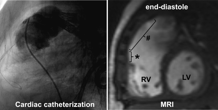 Figure 1: