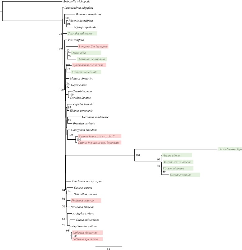 Fig. 2