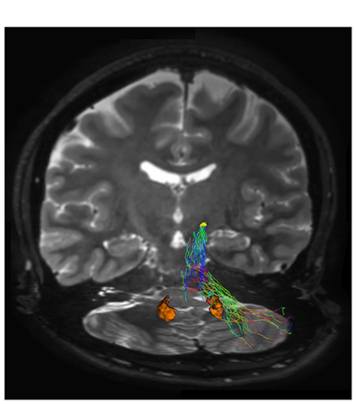 FIGURE 4