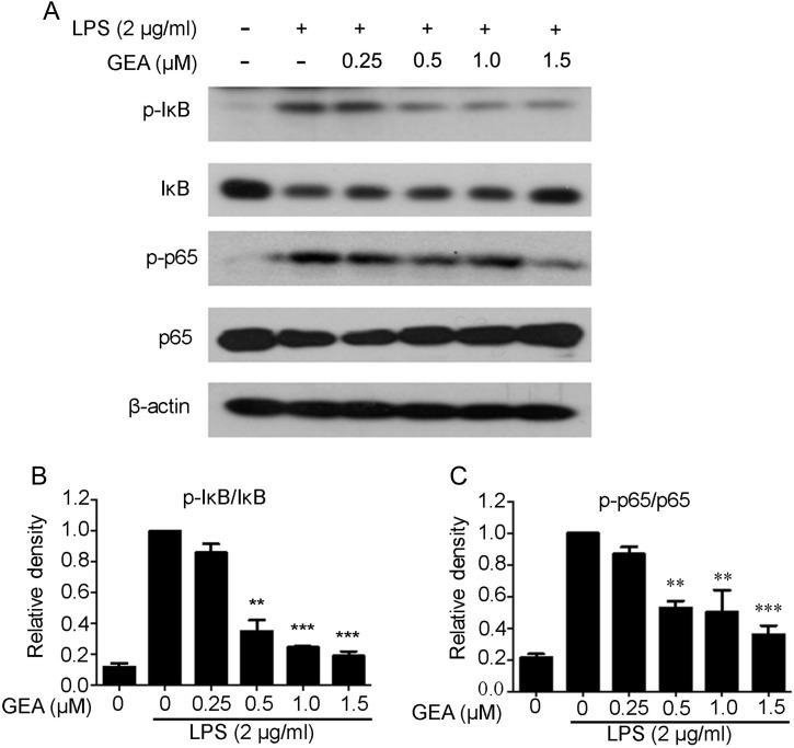 Figure 4.