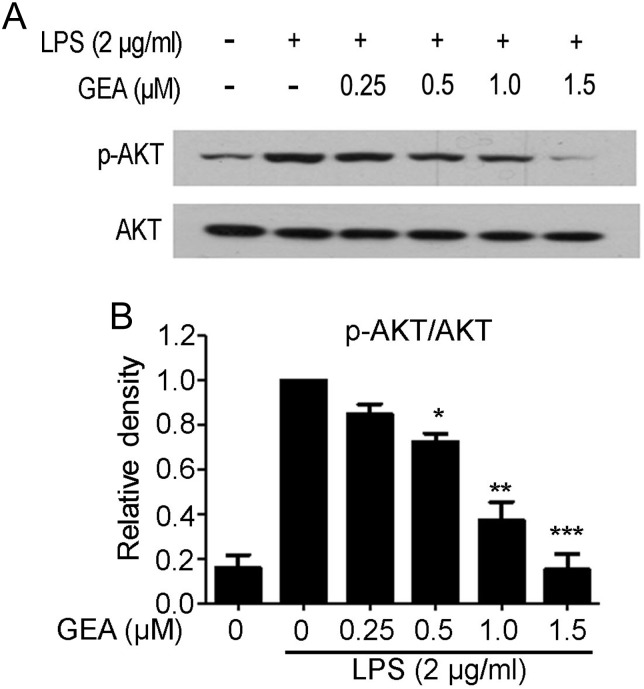 Figure 6.