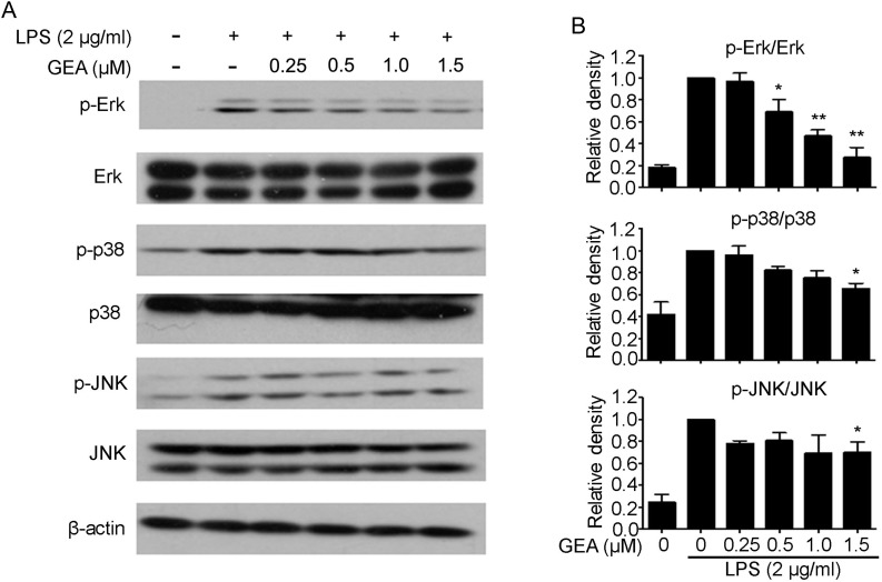 Figure 5.