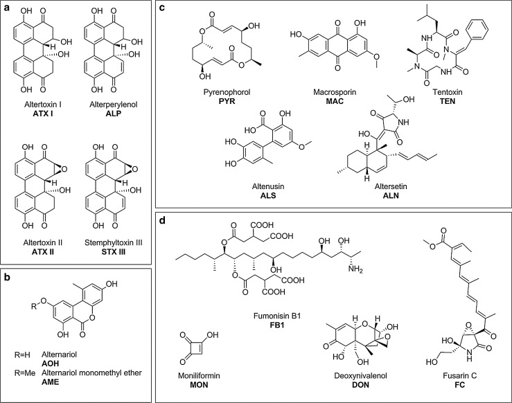 Fig. 1