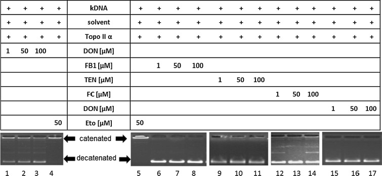 Fig. 4