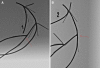 Fig. 10