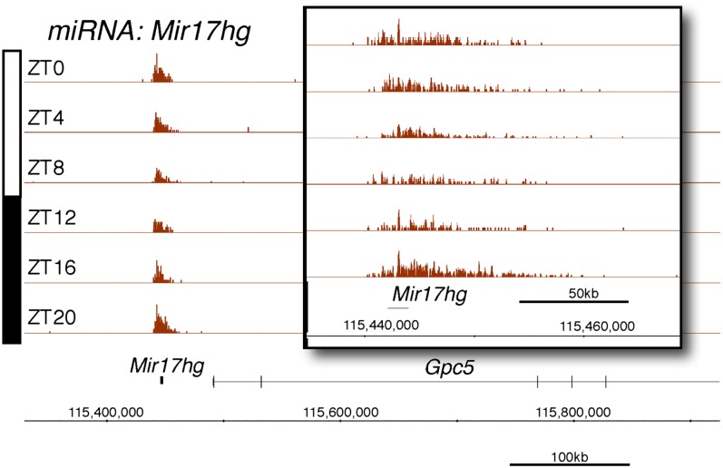 Figure 2—figure supplement 4.