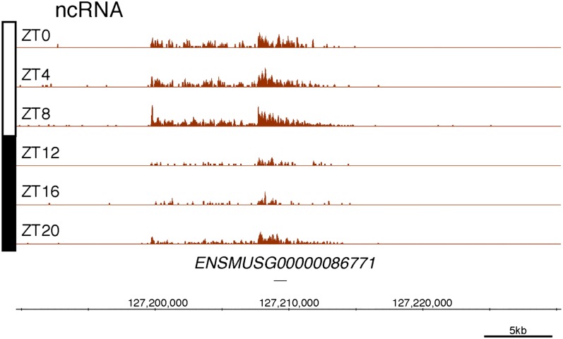 Figure 2—figure supplement 3.