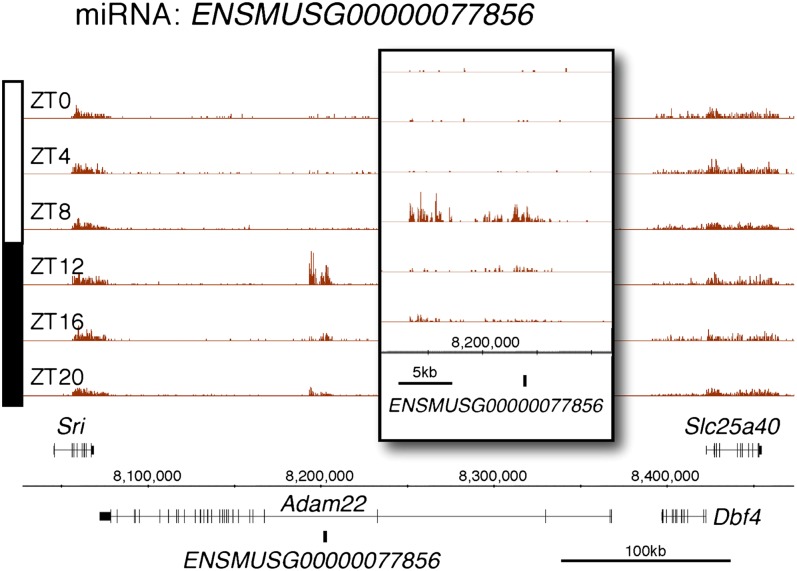 Figure 2—figure supplement 5.