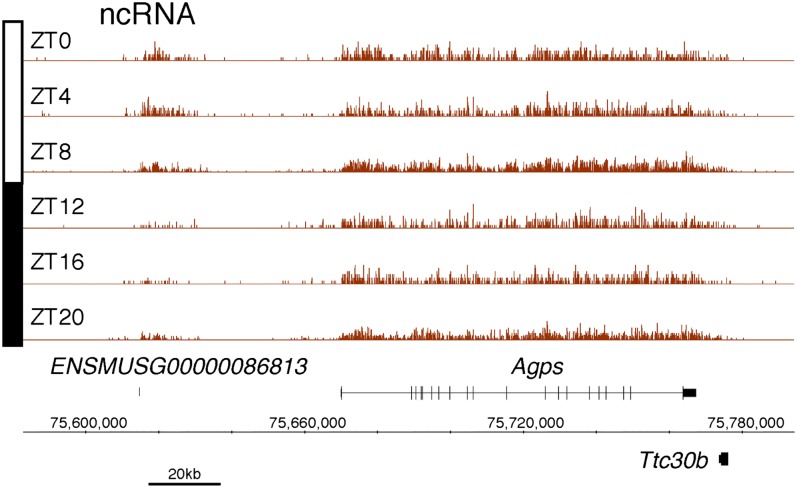 Figure 2—figure supplement 2.