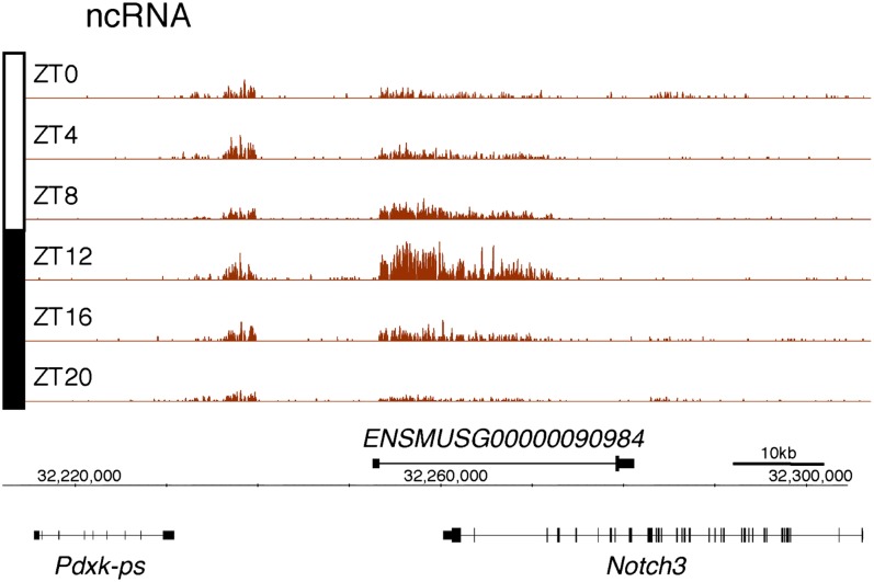 Figure 2—figure supplement 1.