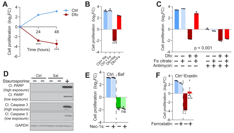 Figure 4—figure supplement 1.