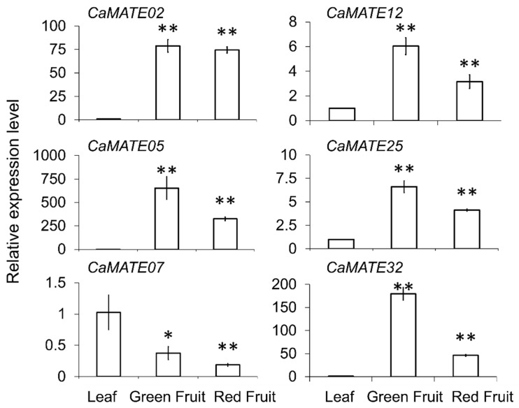 Figure 7