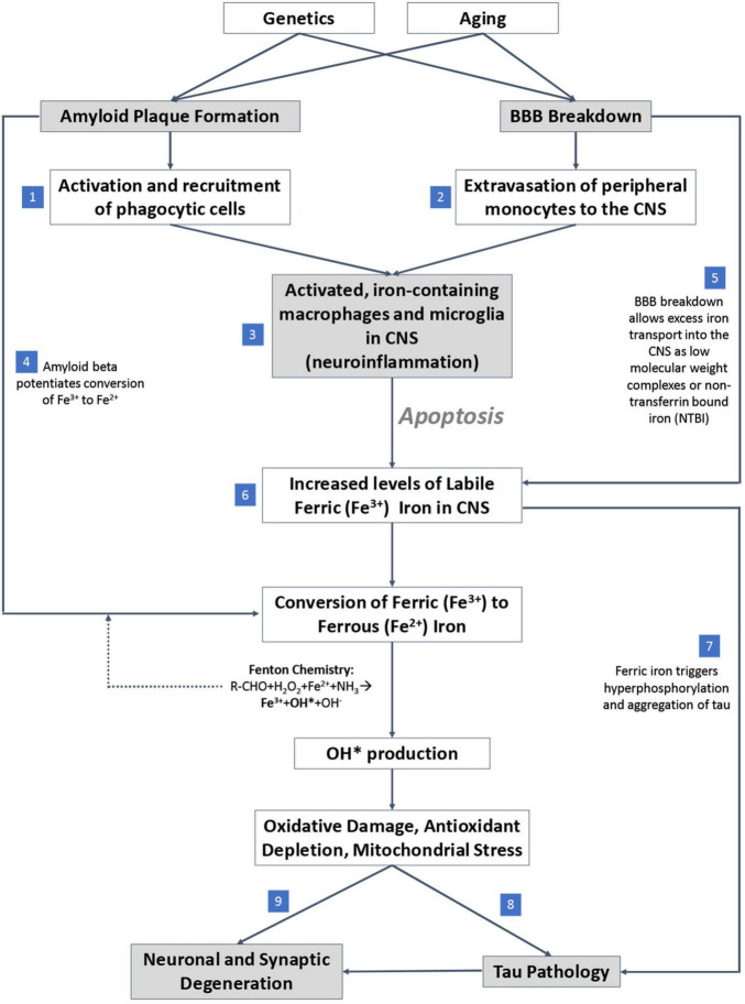 FIGURE 4