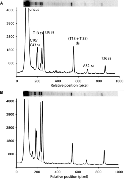 Figure 6.