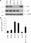 FIGURE 10.