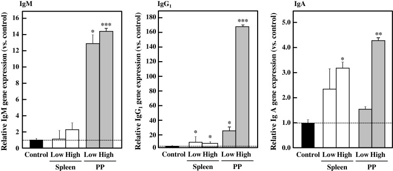 Fig. 8