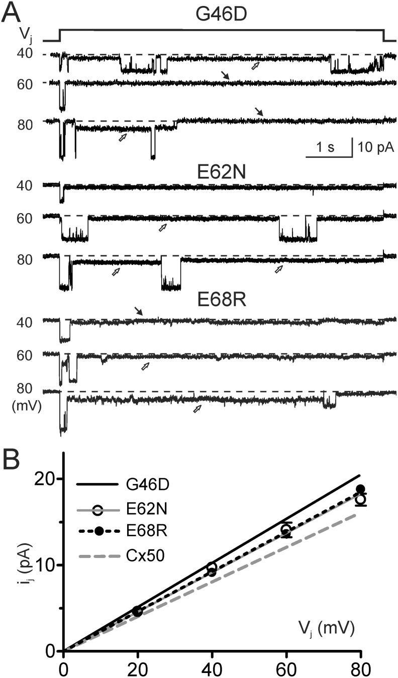 Fig 6