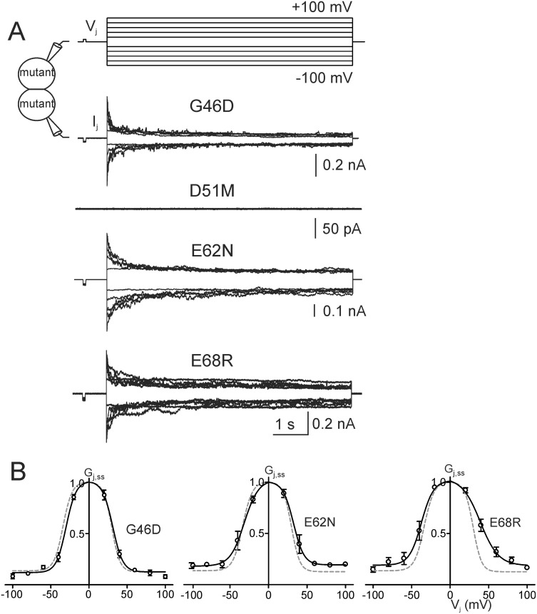 Fig 4