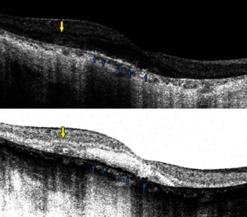 Figure 6