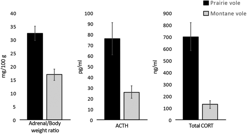 FIGURE 3 ∣