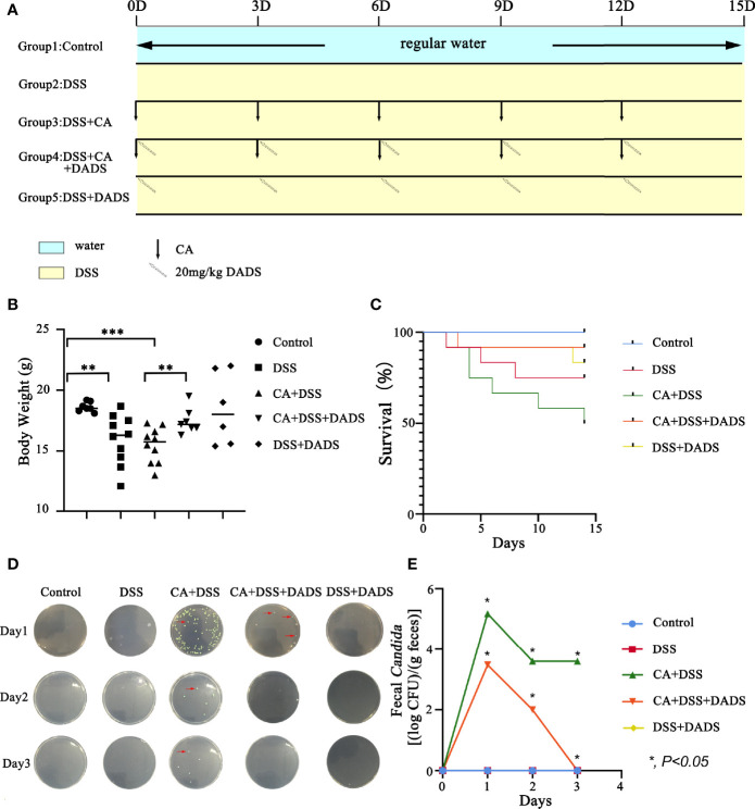 Figure 3