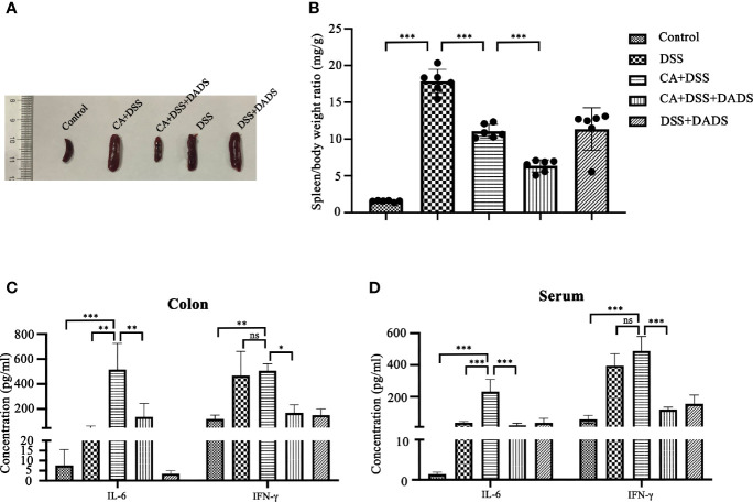 Figure 4