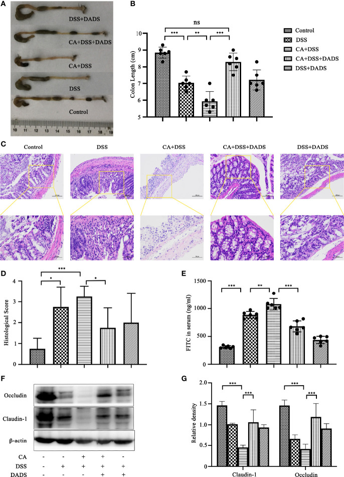 Figure 5