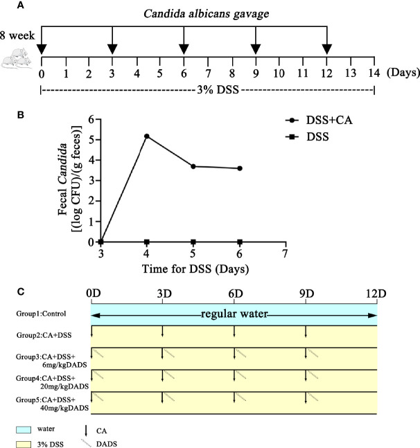 Figure 1