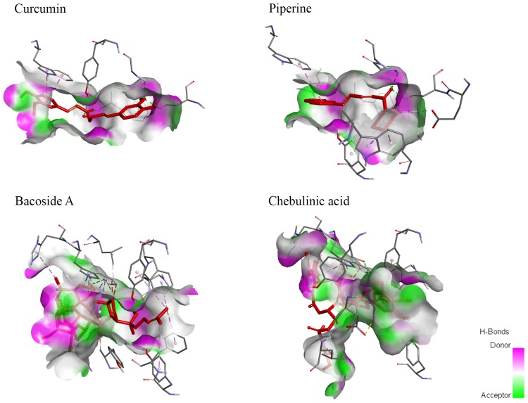 Figure 5