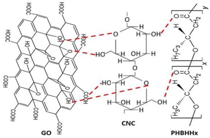 Scheme 3