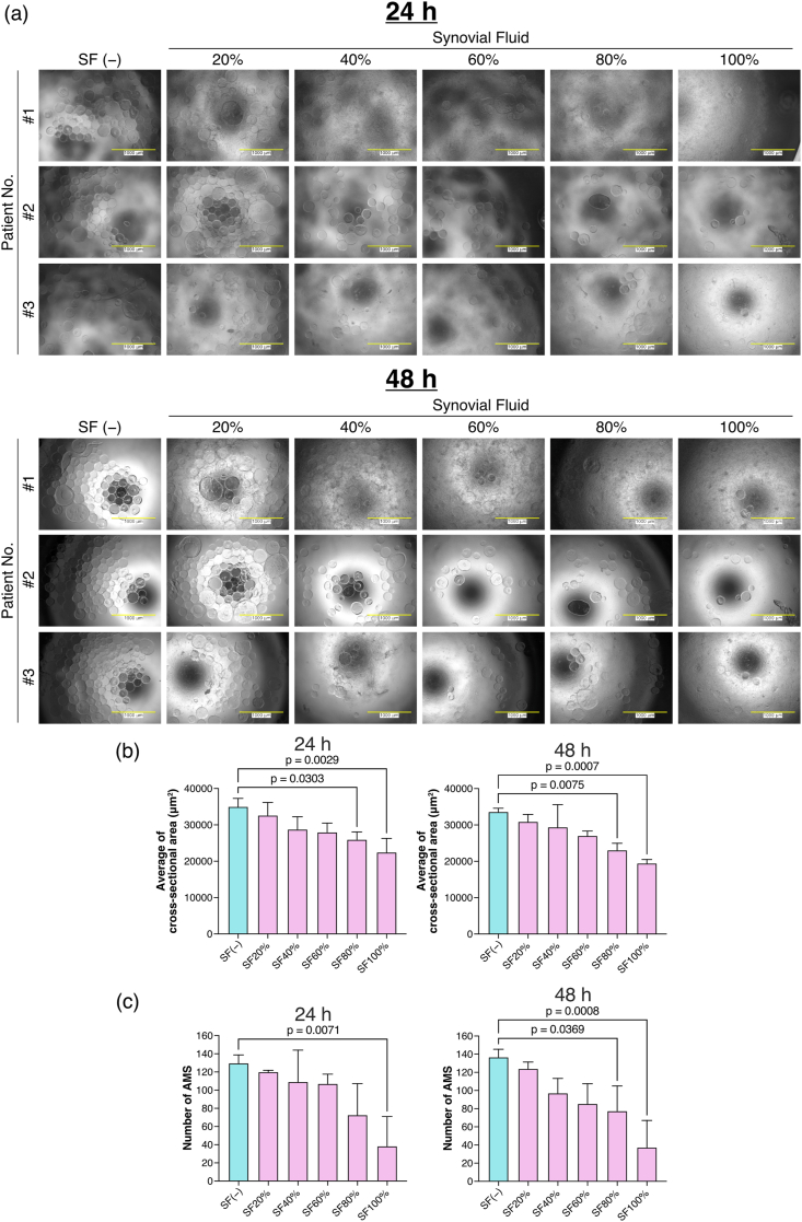 Fig. 4