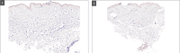 FIGURE 12.