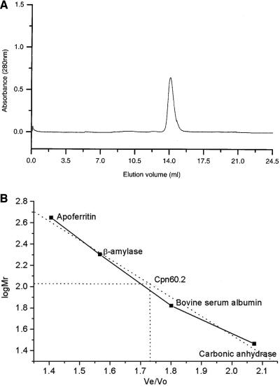 FIG. 1.