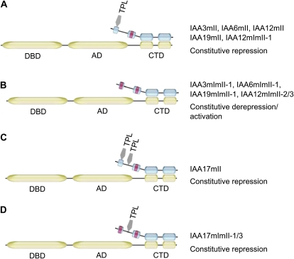 Figure 7.