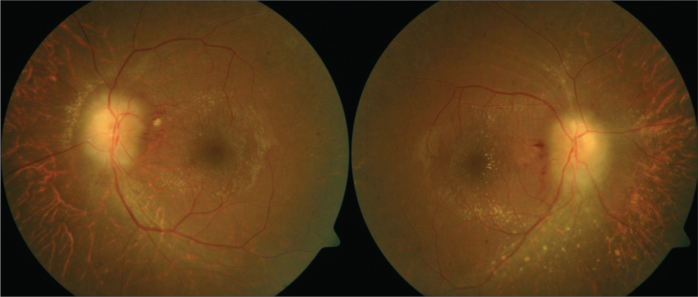 Figure 2.