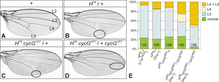 Fig 4