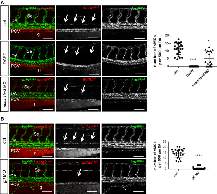 Figure 3